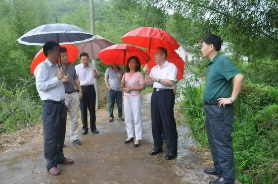 image003