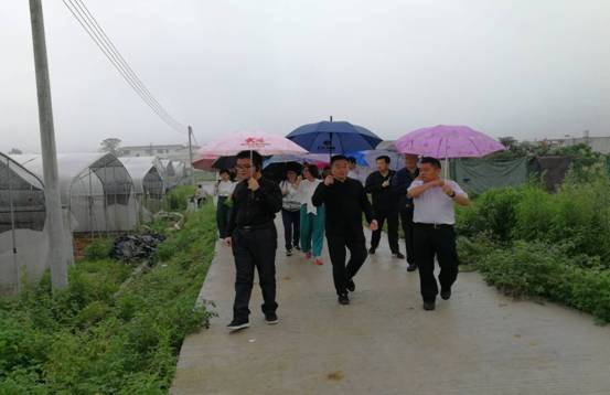 参观大站镇XX村蔬菜种植基地.jpg