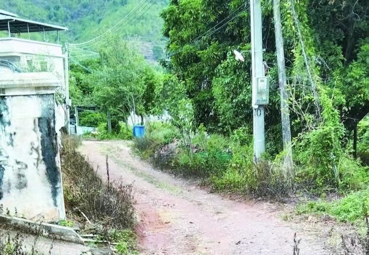 1.jpg
